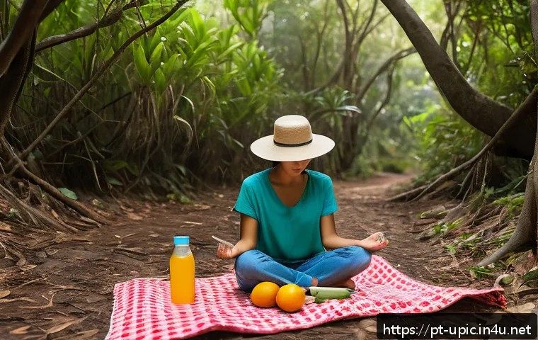 Descubra os Melhores Locais Tranquilos para um Picnic Meditativo e Revitalizante na Natureza 3 이색피크닉 조용한 장소에서의 명상 관련 이미지 1